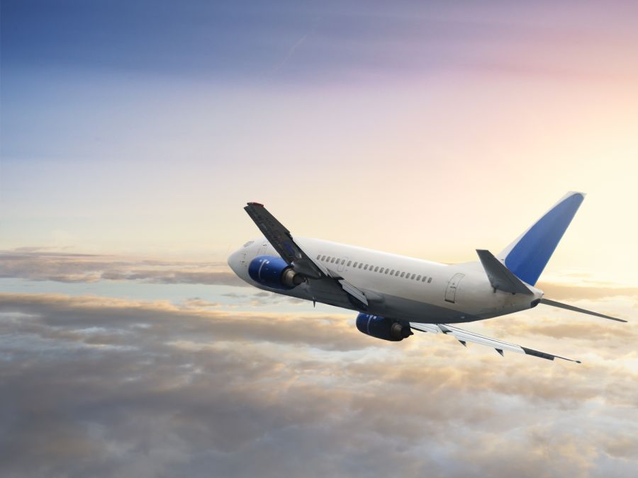 Hassle Free Travel Insurance Options